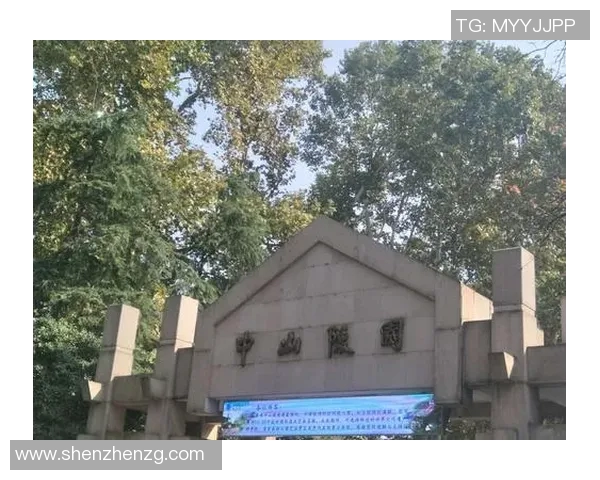 南京排球队的蜕变之旅：从传统到现代的全新篇章