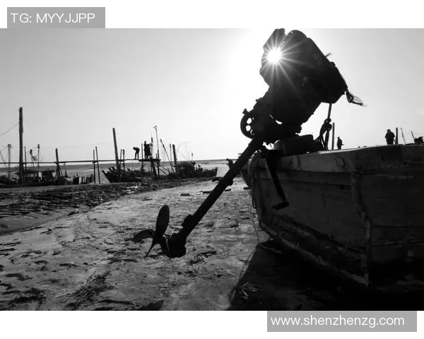 滑板人生的深度对话：刘伟如何在挑战中追寻梦想与自由